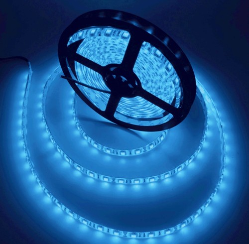 Cata 10 Çipli İç Mekan Silikonsuz Şerit Led-5m (Mavi) CT-4484 - Cata