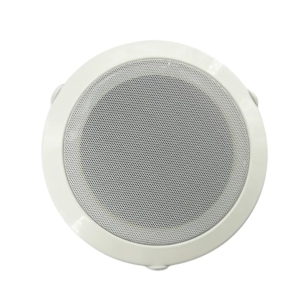 Cata Sıvaaltı 18cm Balastlı Hoparlör 60w Ct-9140