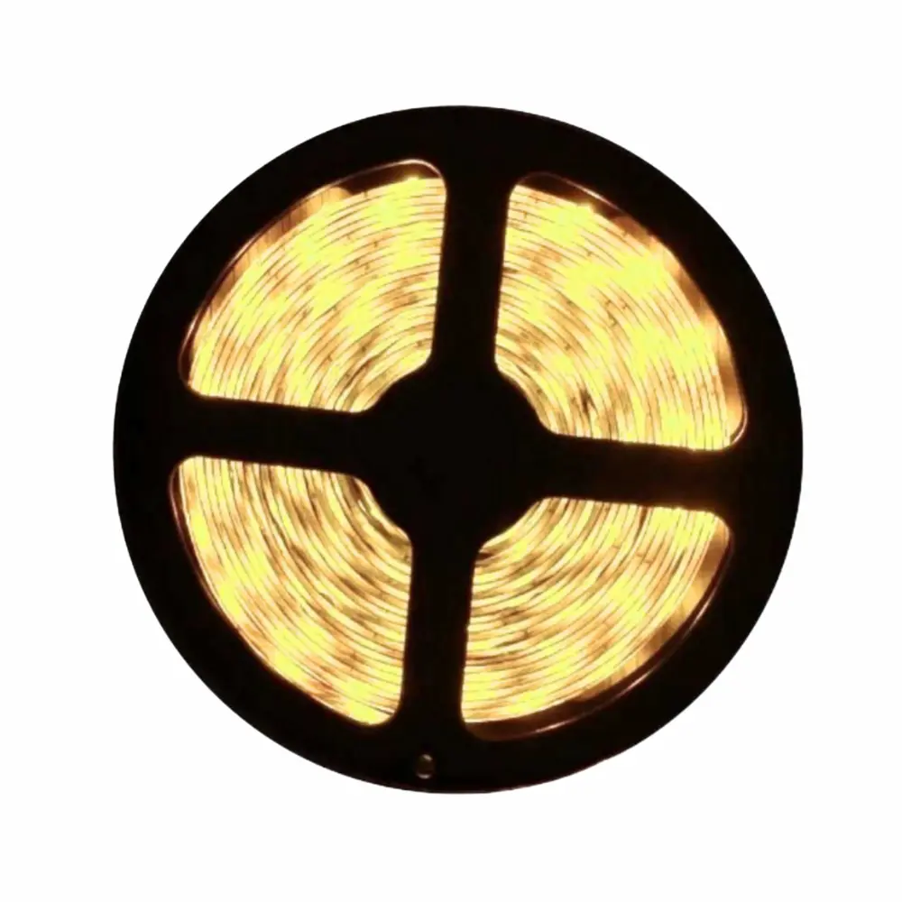  Cata 10 Çipli Dış Mekan Silikonlu  Şerit Led-5m (günışığı) Ct-4488